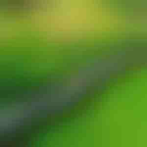 Kamenné záhradné lemovanie (10 ks) | MINIFENCE