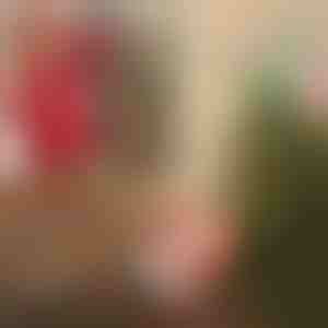 Santa s padákom | SANTASWING