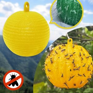 6-balenie závesných pascí na muchy | BUGIORB