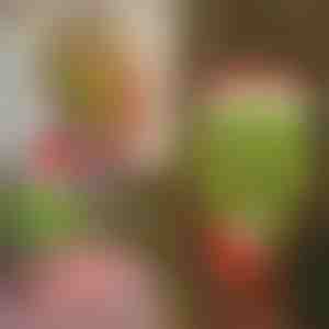 Vianočná dekorácia Grinchove nohy | ELFLEGS