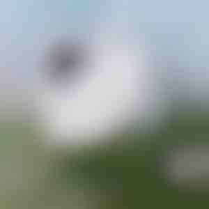 Bezproblémové čistenie okien | WINDOWSWIPE