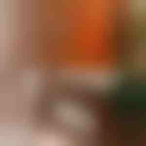 Univerzálne leštidlo na nábytok | BEEWAX